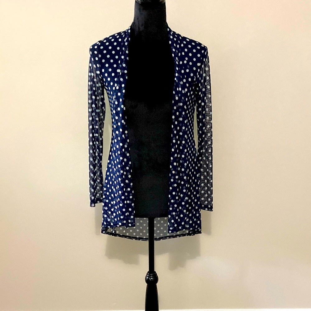 Sheer Blue and White Polka Dot Sweater